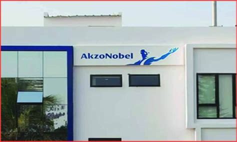 Top Paint Companies in India You Should Know in 2025