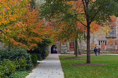 Undergraduates | Department of Mathematics