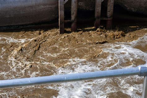 Tech helps Florida dairy produce power from cow poop | Miami Herald