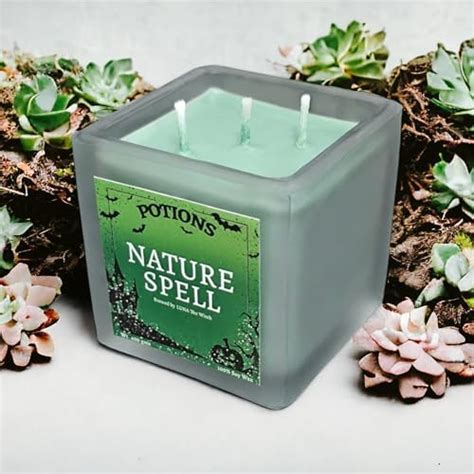 Potions Fresh Brews | Nature Spell | Scented Soy Candles | 400g | Upto ...
