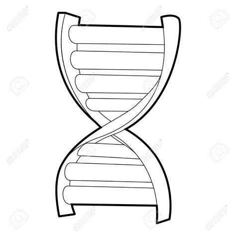 Image result for DNA Complementary Strand Drawing
