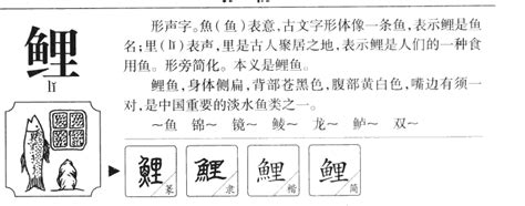 鲤字起名的寓意，鲤鱼在中文文化中的象征意义-取名大全网