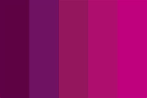 Image result for Raspberry Color Palette