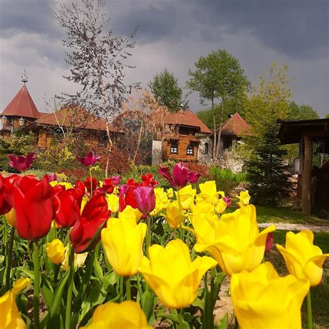 AGROTURYSTYCZNY KOMPLEKS KOROBCZYCE (2025) All You Need to Know BEFORE ...