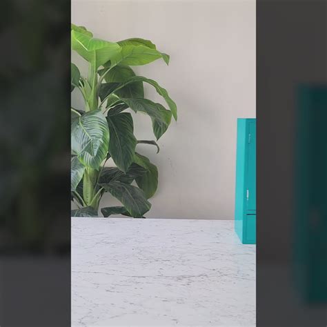 Almirah in Emerald – Madras Prop Store