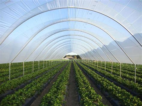 Elite Spanish polytunnels – Elite Tunnels Ltd