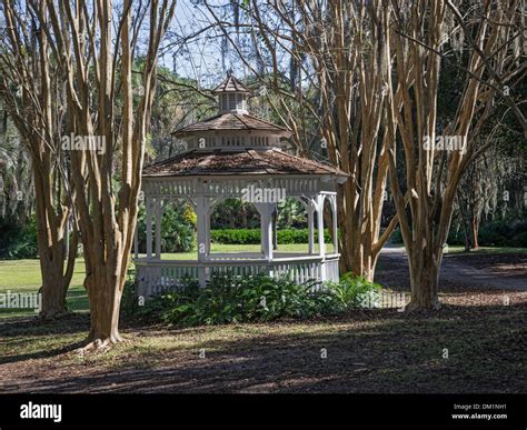Kanapaha Botanical Gardens Gainesville Florida Stock Photo - Alamy