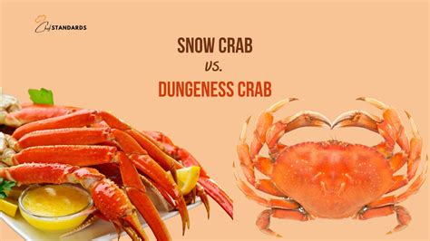What Is Dungeness Crab