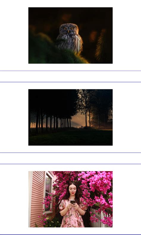 Image result for Lazy Loading Images in JavaScript Example