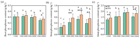 Response of Agronomic Traits and Phosphorus Uptake to Soil P Deficiency ...