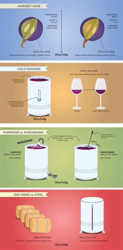 Wine Fermentation Process 的图像结果