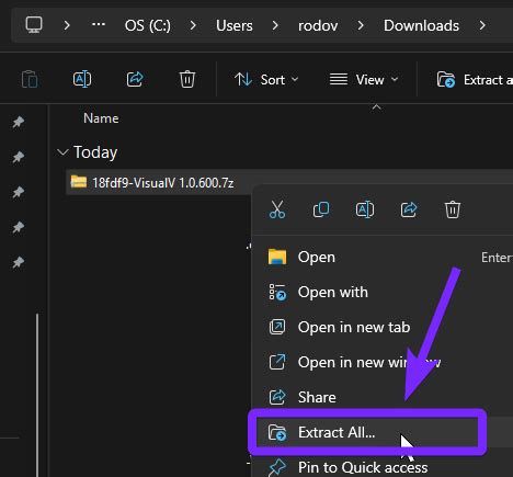 Image result for How to Install VisualIV