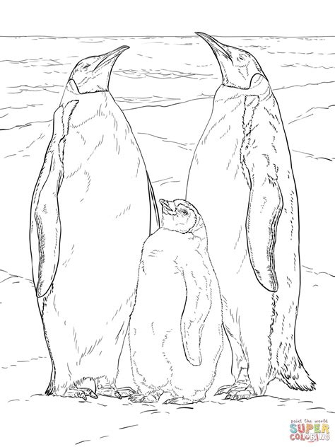 Coloring Page Of A Penguin