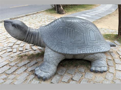 玻璃钢乌龟雕塑，仿真动物雕塑 - 卓景雕塑公司