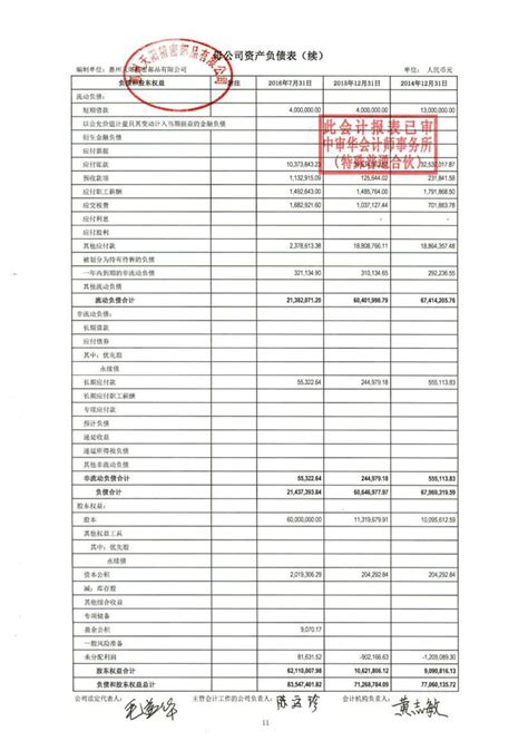 财务报表及审计报告_惠州天阳精密部品股份有限公司