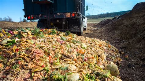 Food Waste 的图像结果