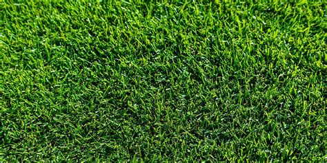 5 Proven Tips to Keep Bermudagrass Green Longer in Fall