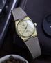 TISSOT PRX Powermatic 80 35mm Gold Champagne Dial – watchtopia.in