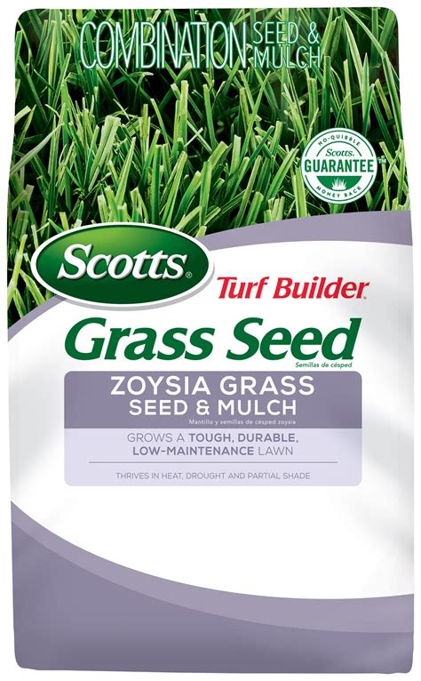 Zoysia Grass