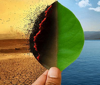 Shankar IAS Summary: Climate Change- 2 - UPSC PDF Download