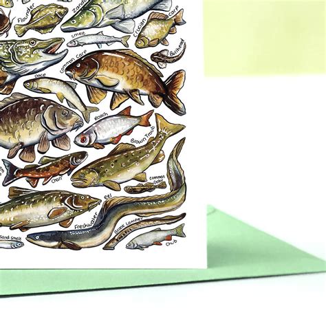 Freshwater Fish Of Britain Greeting Card By Alexia Claire