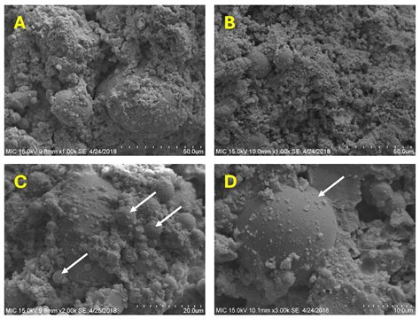 Sustainable Utilization of Stabilized Dredged Material for Coastal ...