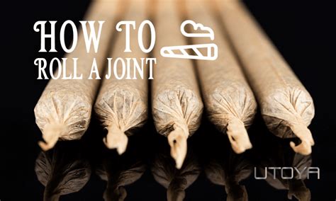 Joint Rolling Tutorial 的图像结果