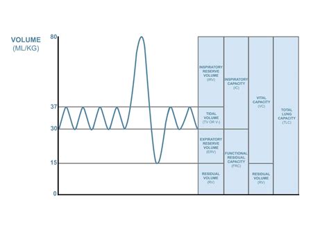 Lung Volumes and Capacities - Medical Exam Prep