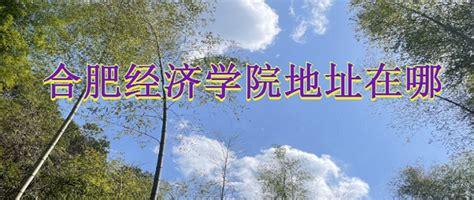 合肥学院是一本还是二本？名气大吗？排名第几？学费多少