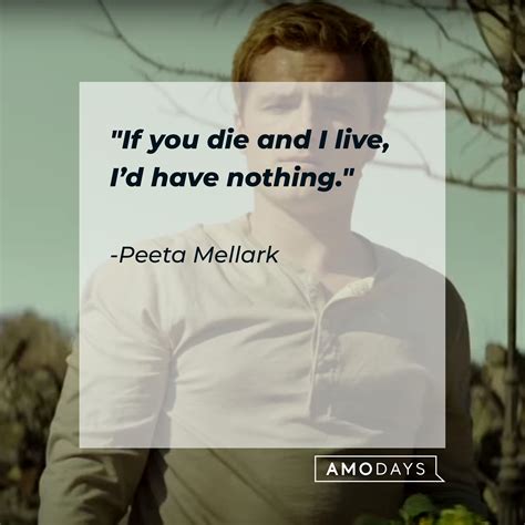 50 Peeta and Katniss Quotes to Let You Experience 'The Hunger Games ...