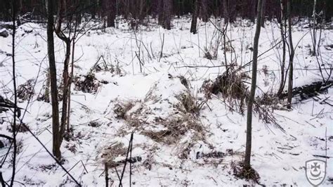Can you find the Hidden Sniper in this Optical Illusion? Ukraine ...