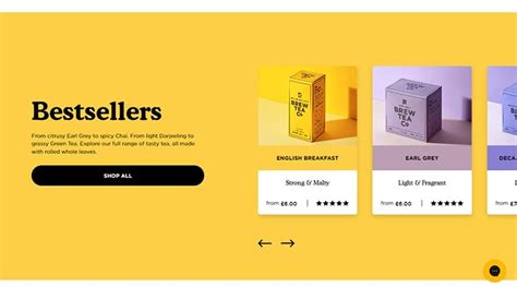Image result for Website Carousel Examples
