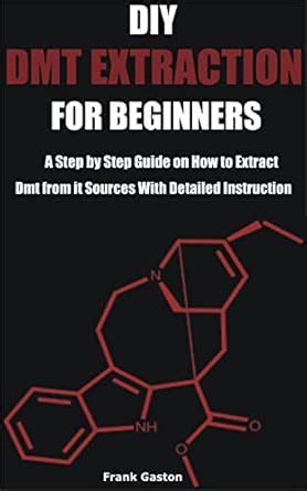 DMT Extraction Tutorial 的图像结果