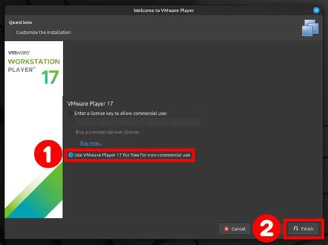 Install Linux Mint 20 VMware 的图像结果