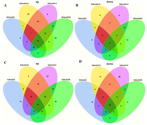 Metabolomic Analysis of Elymus sibiricus Exposed to UV-B Radiation Stress