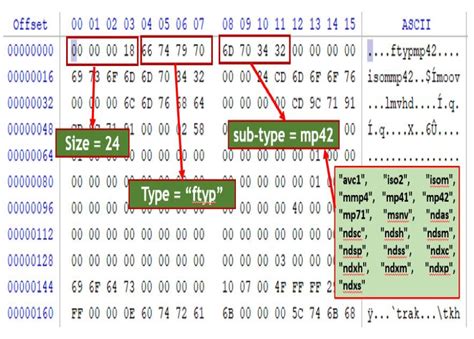 Realising a Push Button Modality for Video-Based Forensics