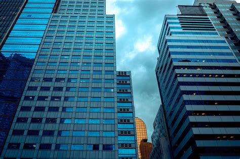 South Carolina Business Entity Search: Verify Names & Company Details