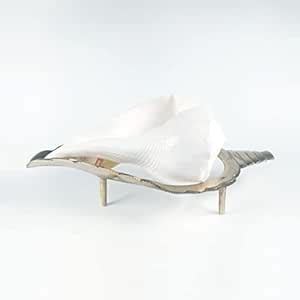 Buy MAYAPURI Dakshinavarti Valampuri Shankh/Narayan Sankha/Right Hand ...