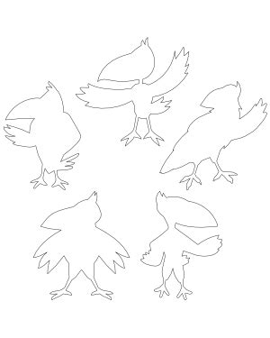 Image result for Crow Pattern-Free