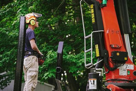 Image result for Remote Control Tree Removal