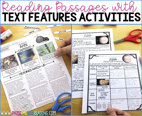 Image result for Text Features Matching Activity