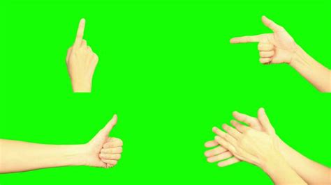 Camera Hand Greenscreen 的图像结果