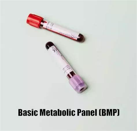 Image result for BMP Lab Test