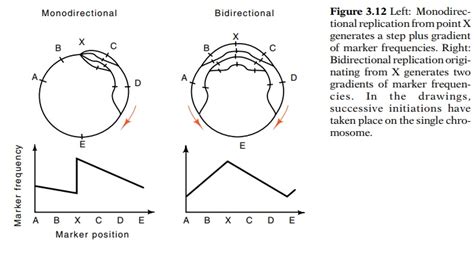 Image result for Bidirectional Replication Simulation
