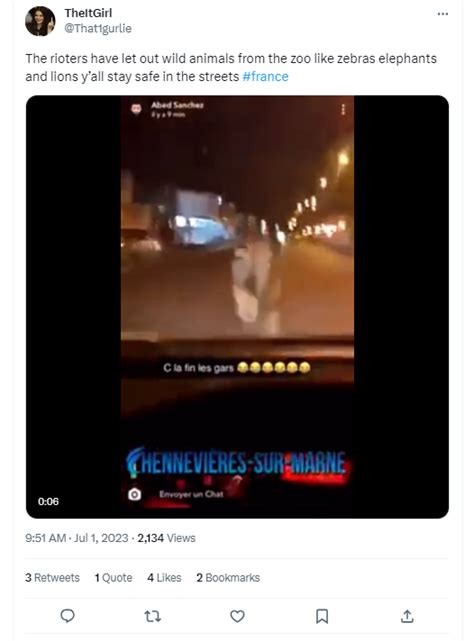 Fact Check: Wild Animals On Paris Streets? Old Videos Falsely Linked To ...