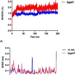 Image result for Docking Base Vertual Screening Using PyRx Tool