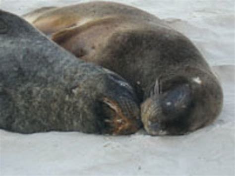 Back to Nature Tours (Dunedin) - 2022 What to Know Before You Go (with ...