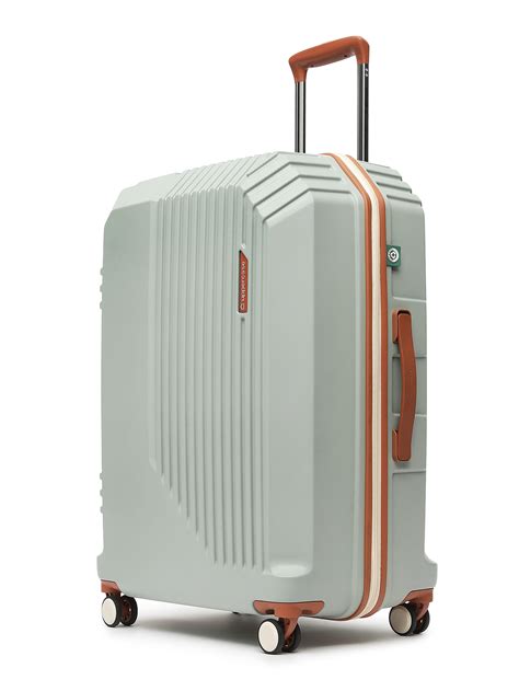 Large Trolley Bags for Travel – Shop Extra-Spacious Luggage