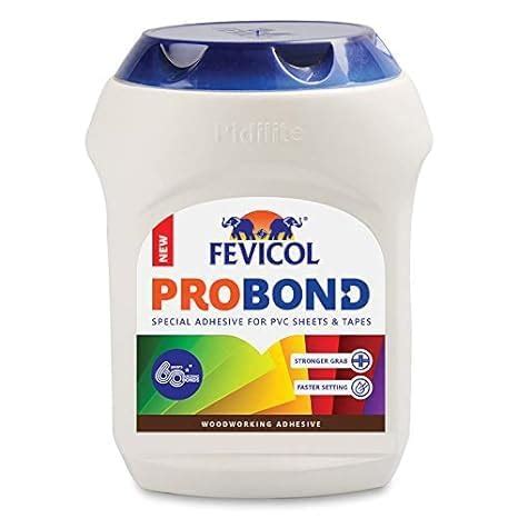 Fevicol Probond - Special Adhesive for PVC Sheet and Tapes, 500gm and ...