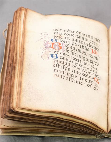 Image result for Codex Fast Reader